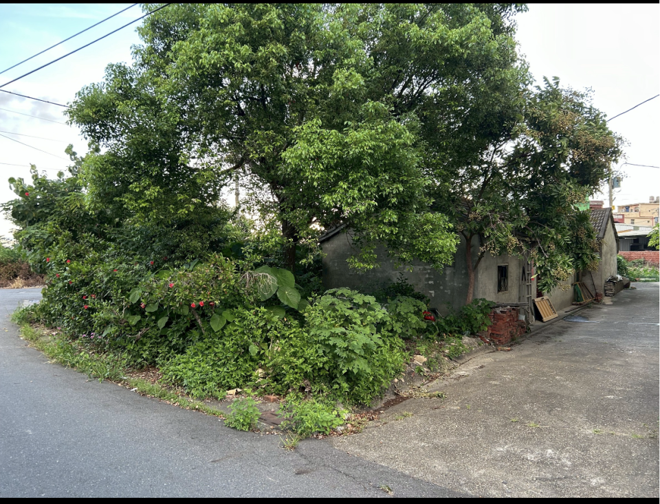 園藝維護案件圖片 園藝維護案件圖片