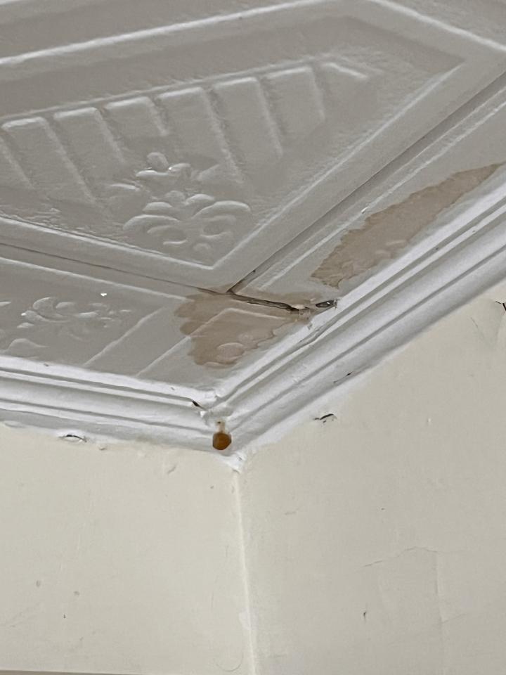 鐵皮屋頂案件圖片