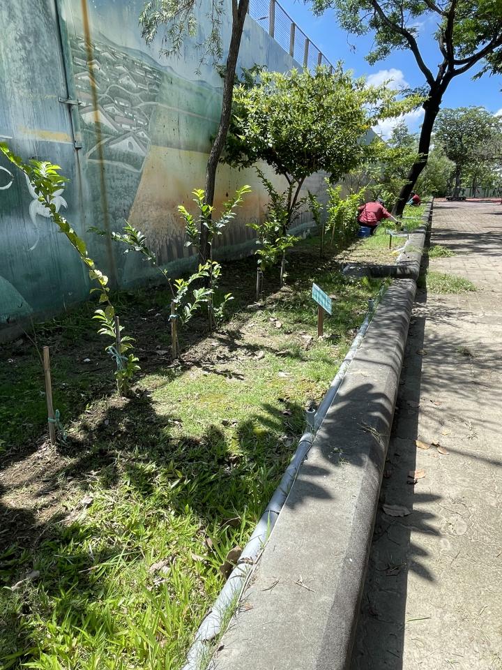 園藝維護案件圖片 園藝維護案件圖片