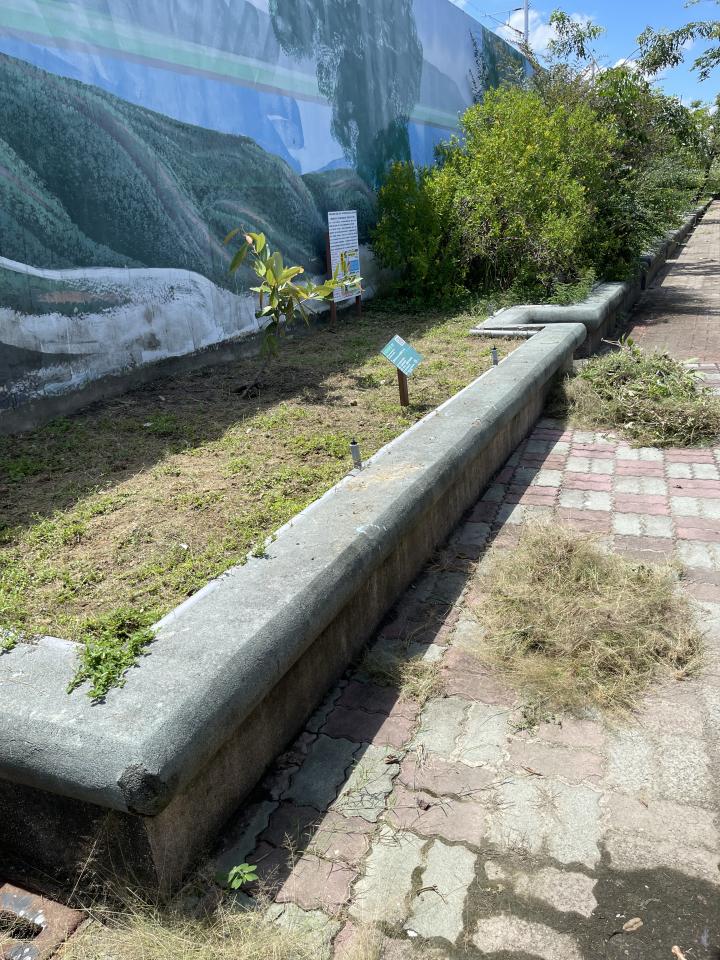園藝維護案件圖片 園藝維護案件圖片