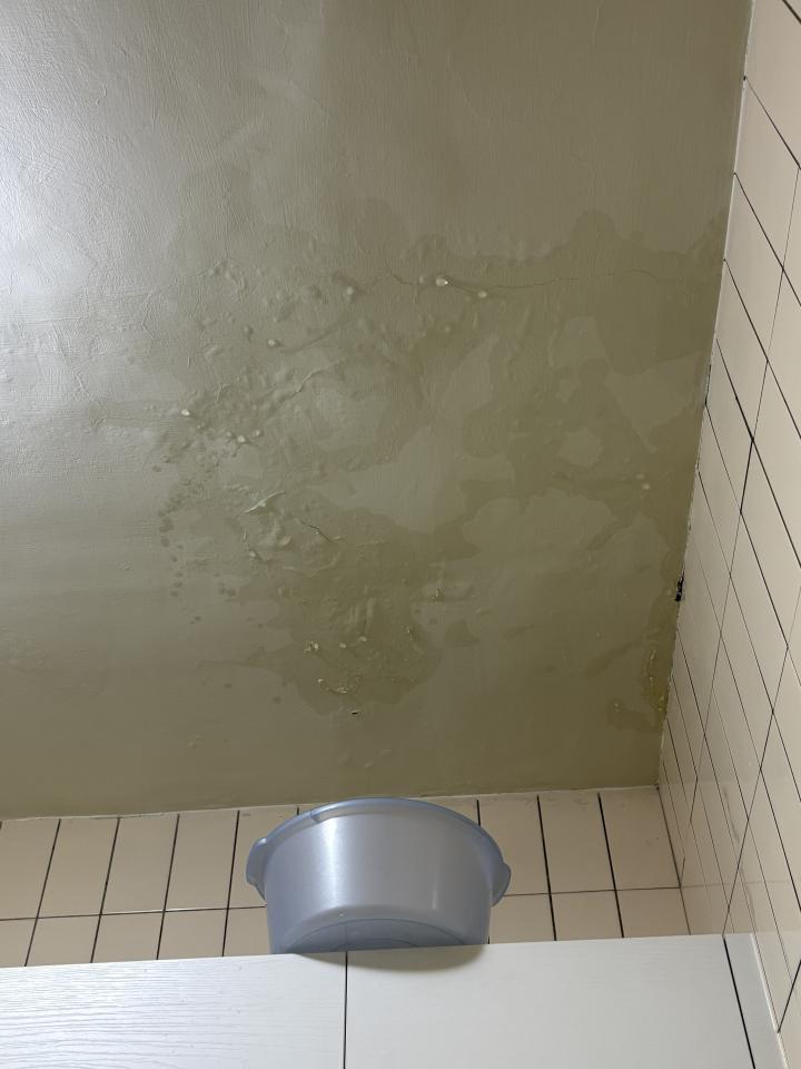 漏水處理案件圖片