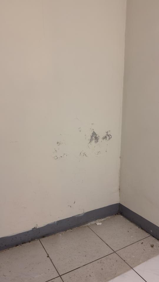 壁癌處理案件圖片 壁癌處理案件圖片