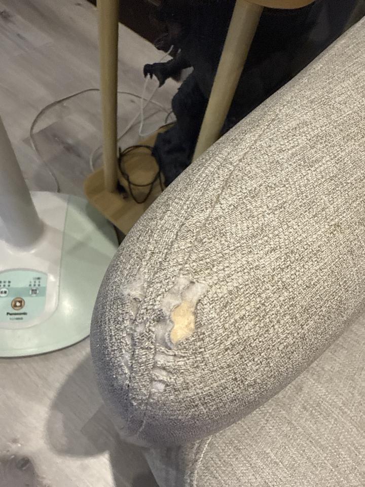 沙發修理案件圖片 沙發修理案件圖片