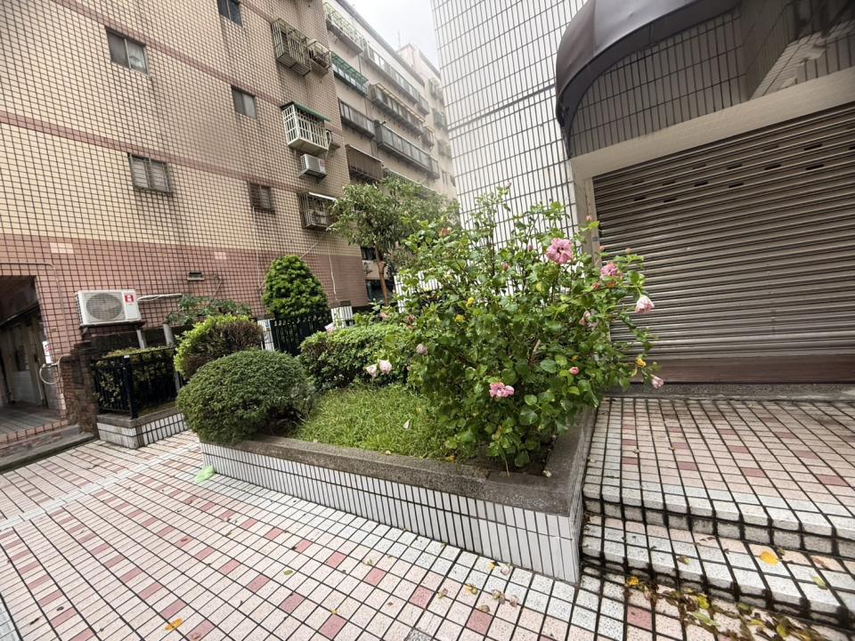 園藝維護案件圖片