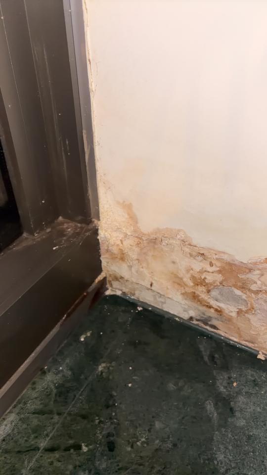 壁癌處理案件圖片 壁癌處理案件圖片