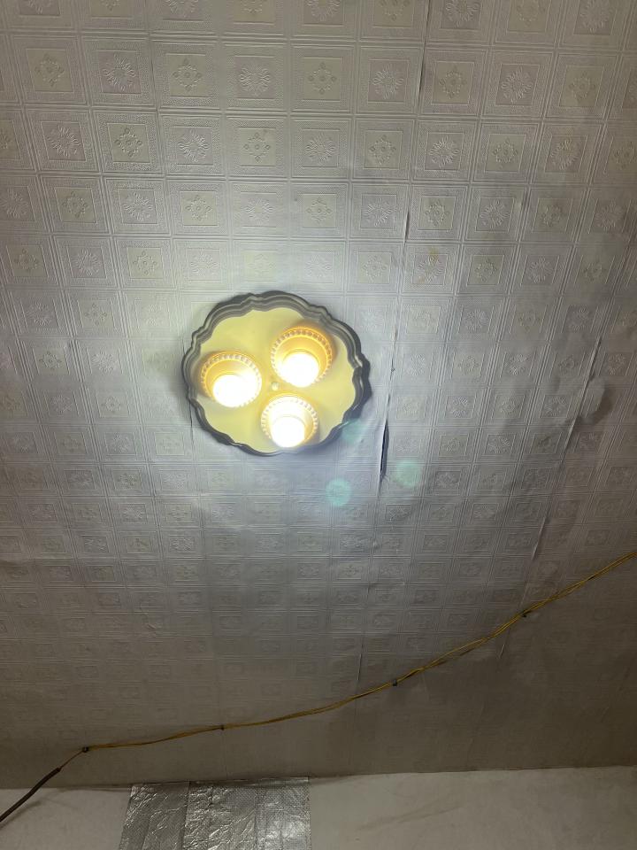 抓漏案件圖片