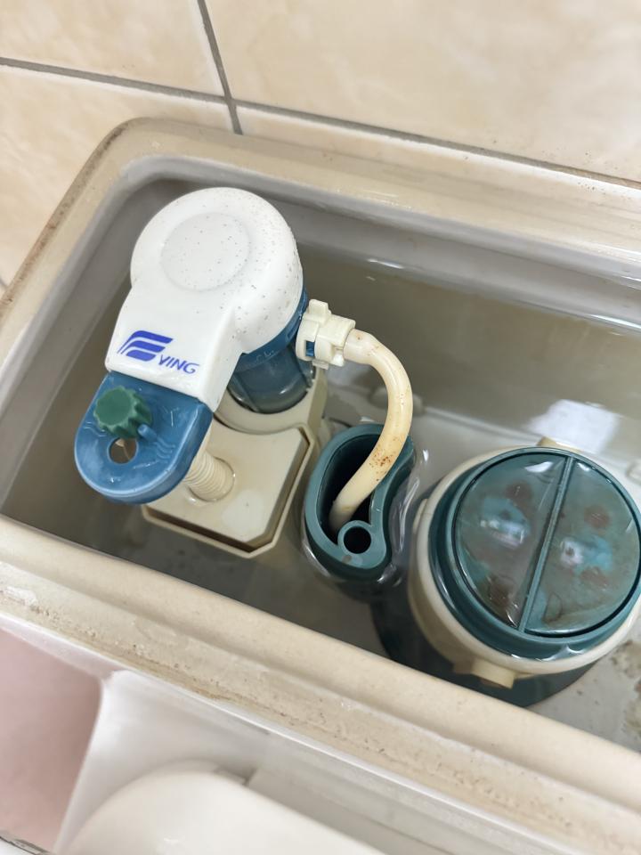 馬桶裝修案件圖片