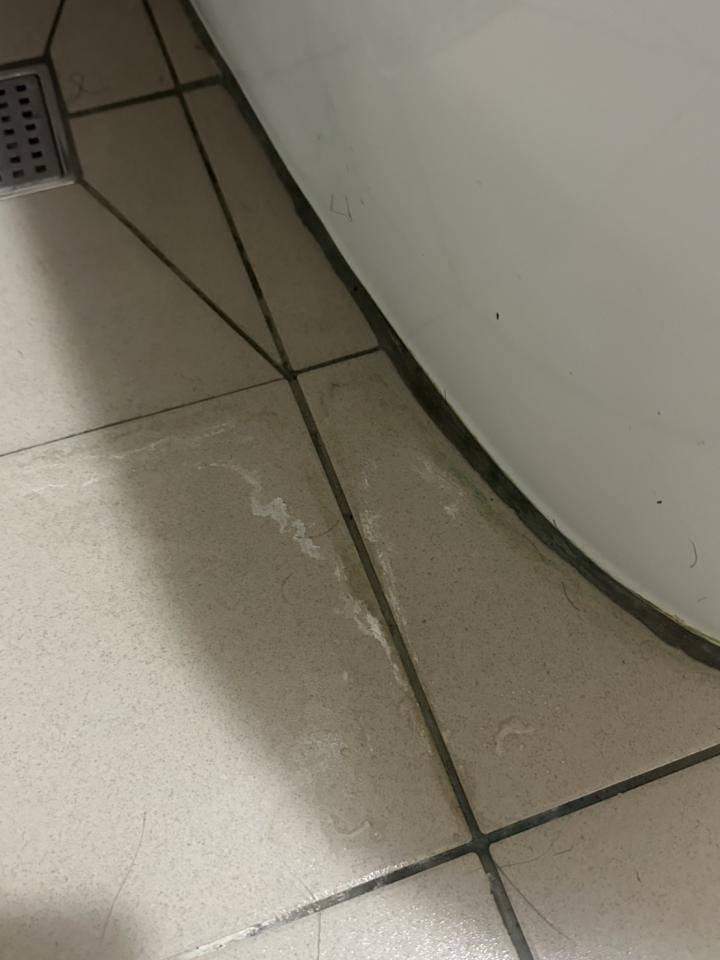 馬桶裝修案件圖片