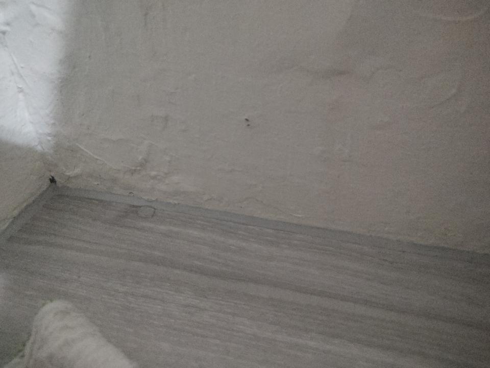 漏水處理案件圖片 漏水處理案件圖片