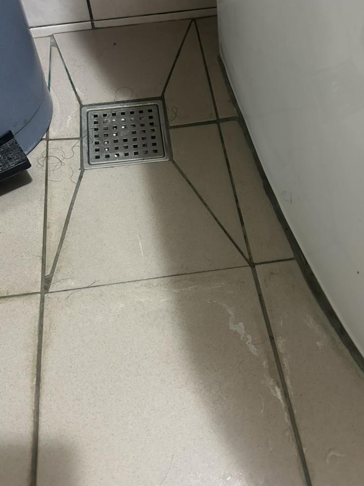 馬桶裝修案件圖片