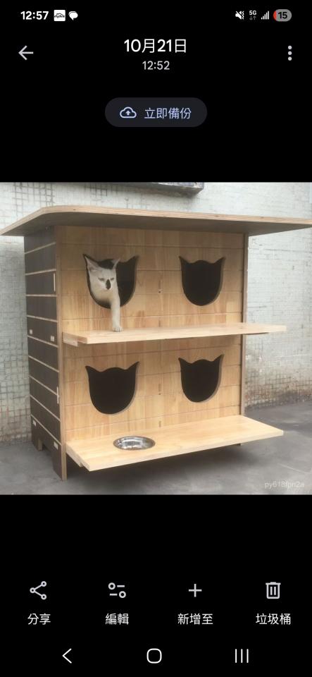 木工施工案件圖片