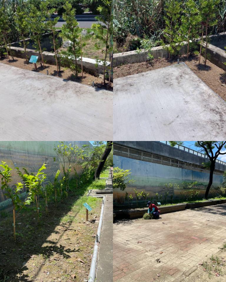 園藝維護案件圖片 園藝維護案件圖片