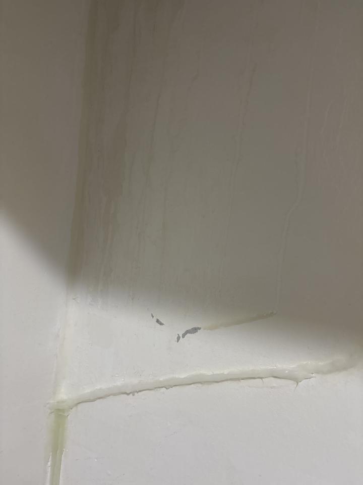 抓漏案件圖片 抓漏案件圖片