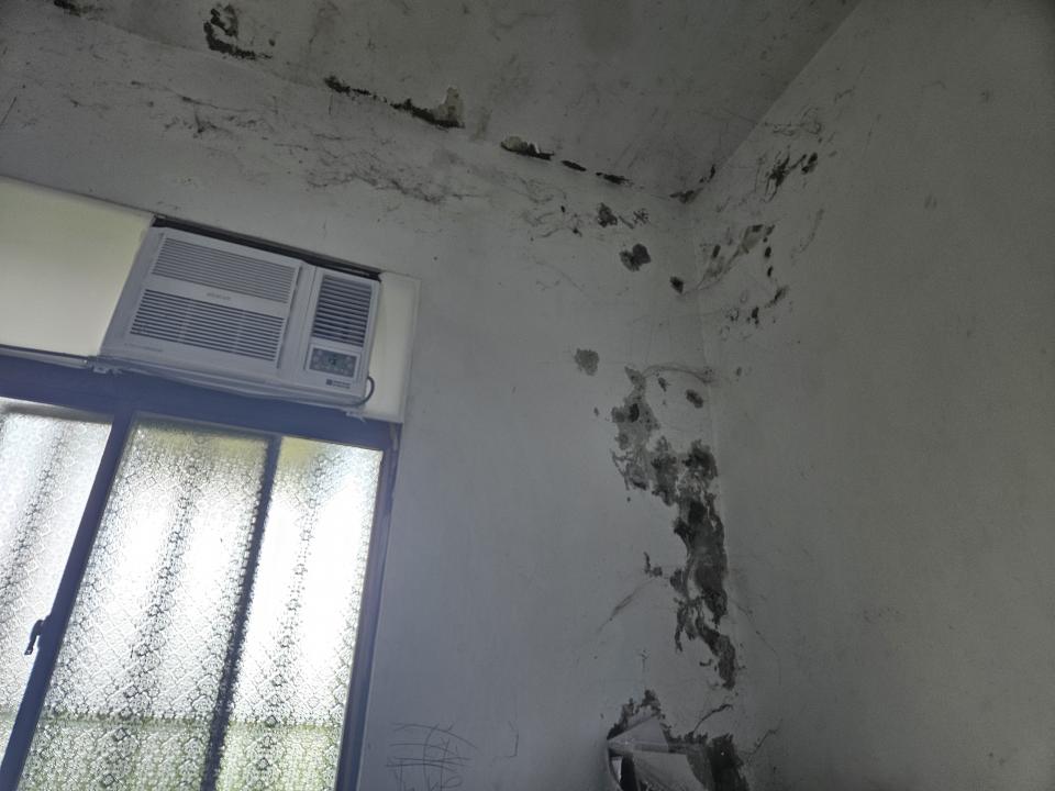 壁癌處理案件圖片 壁癌處理案件圖片