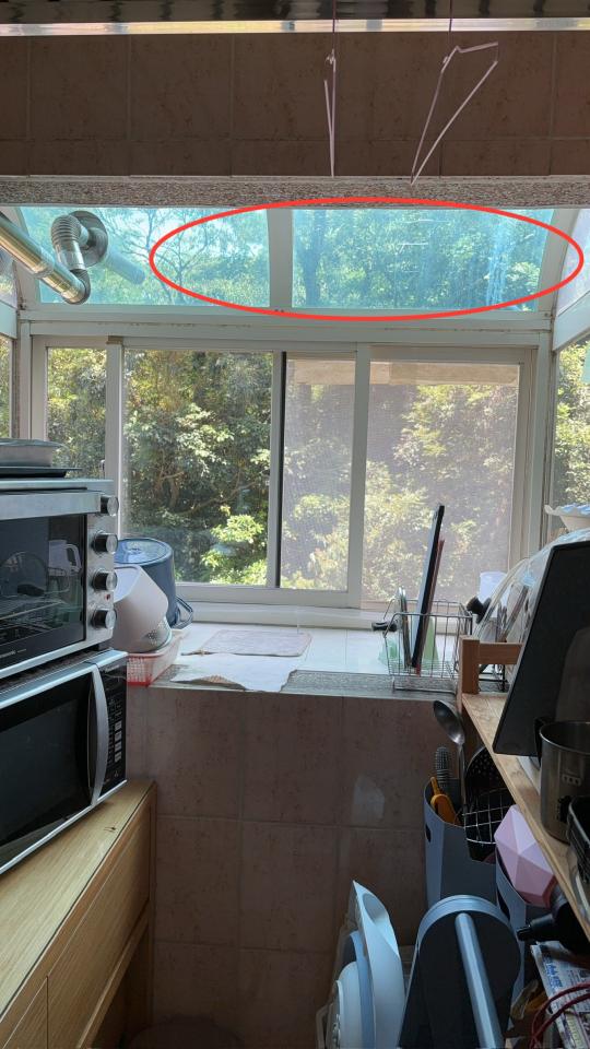 採光罩案件圖片