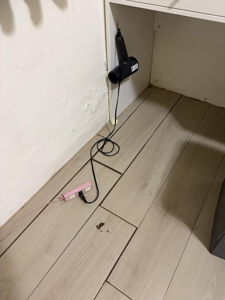 漏水處理案件圖片 漏水處理案件圖片