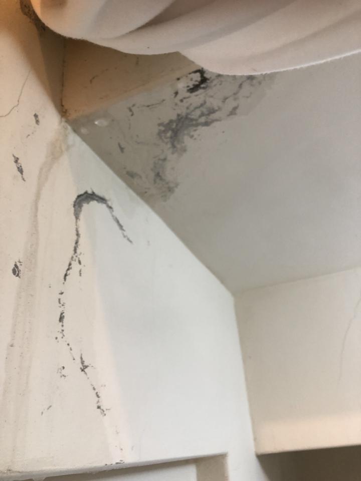 漏水處理案件圖片 漏水處理案件圖片