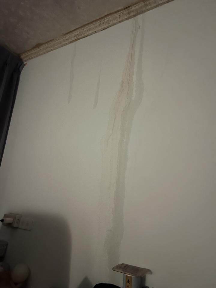 漏水處理案件圖片 漏水處理案件圖片