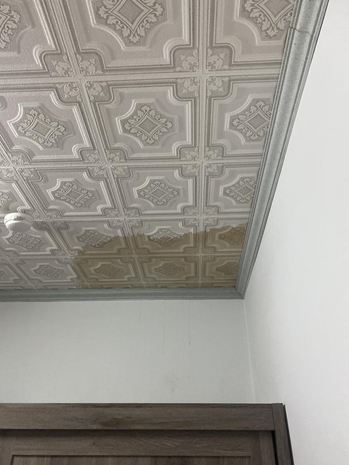 抓漏案件圖片 抓漏案件圖片