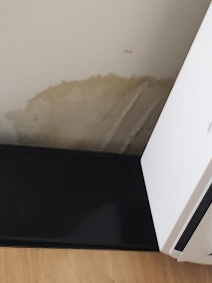 抓漏案件圖片 抓漏案件圖片