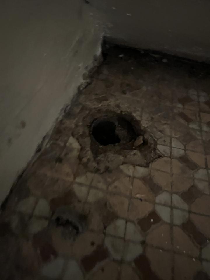 泥作/水泥施工案件圖片