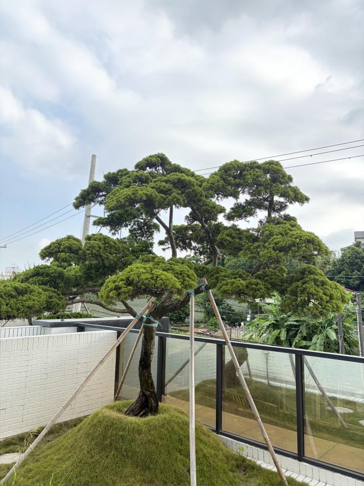 園藝維護案件圖片 園藝維護案件圖片