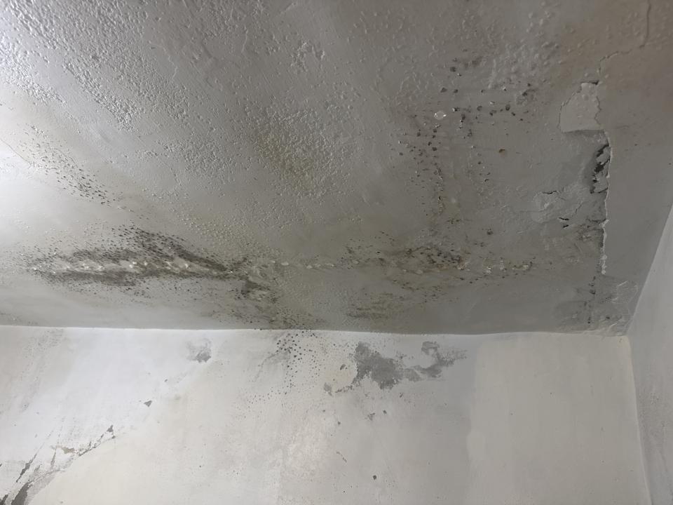 漏水處理案件圖片