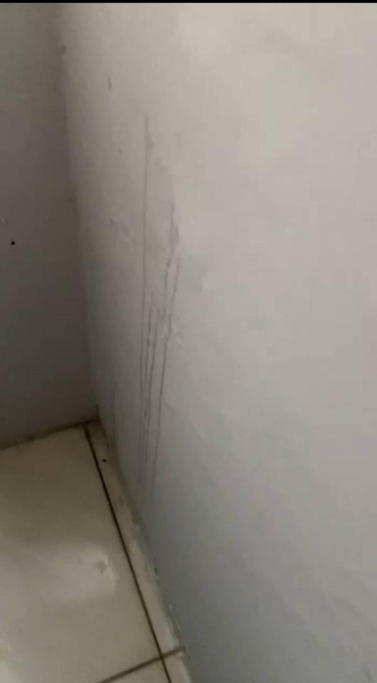 漏水處理案件圖片 漏水處理案件圖片