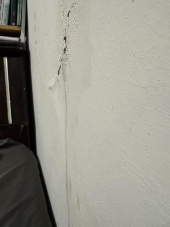壁癌處理案件圖片