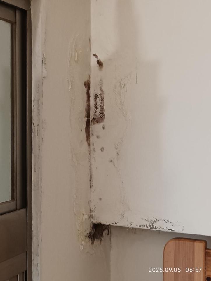 壁癌處理案件圖片 壁癌處理案件圖片