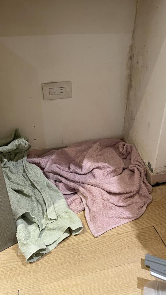 漏水處理案件圖片 漏水處理案件圖片