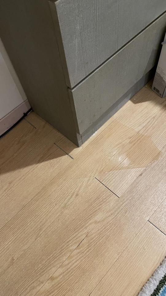 漏水處理案件圖片 漏水處理案件圖片