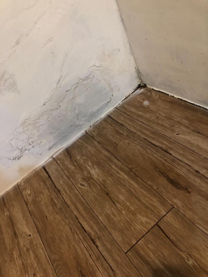 鐵皮屋頂案件圖片