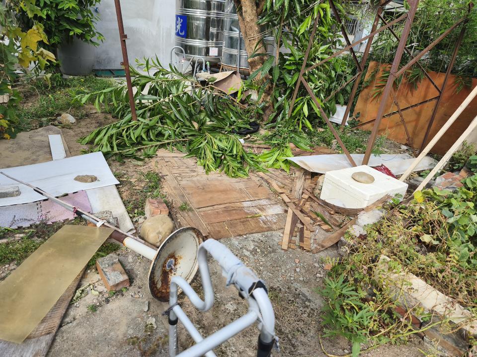 園藝維護案件圖片 園藝維護案件圖片