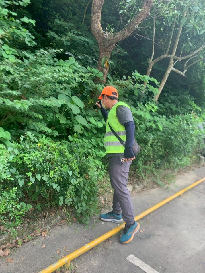 園藝維護案件圖片
