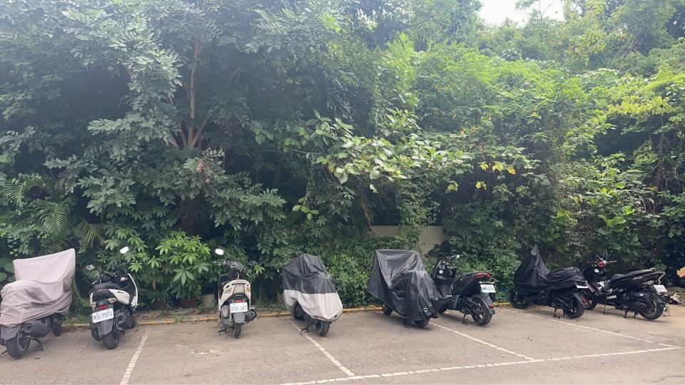 園藝維護案件圖片