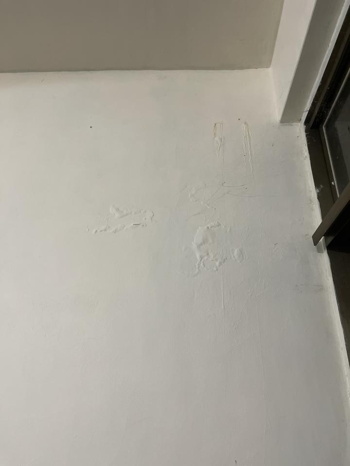 抓漏案件圖片 抓漏案件圖片