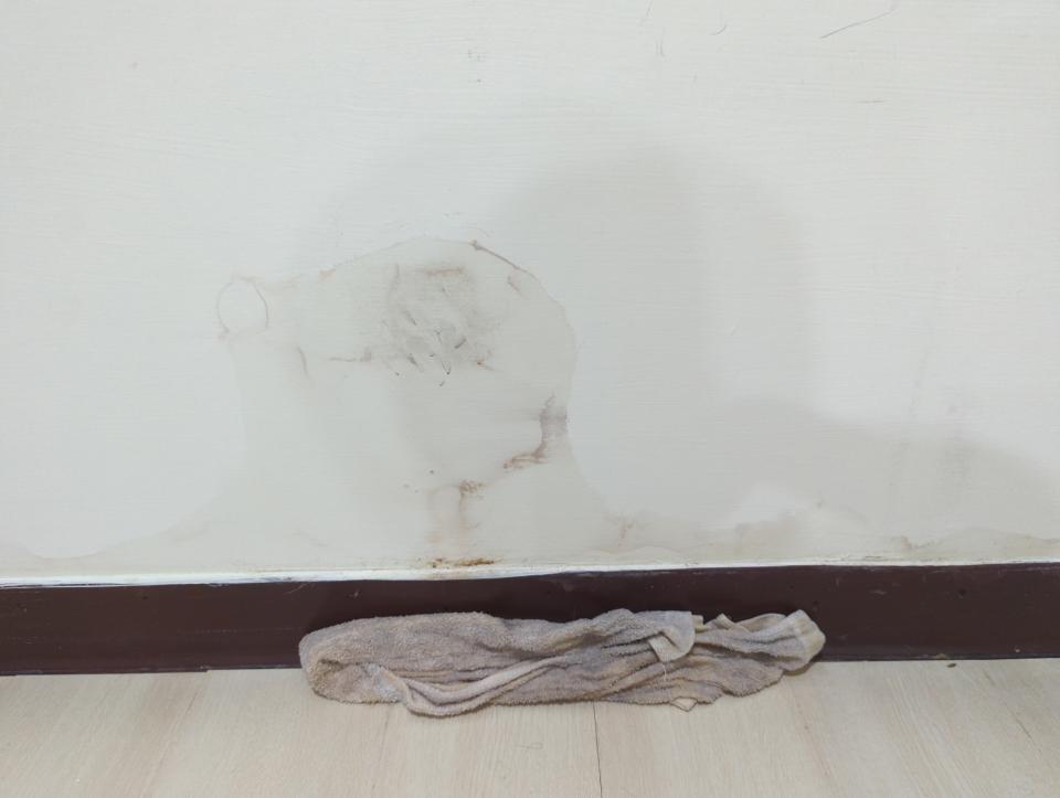 抓漏案件圖片 抓漏案件圖片
