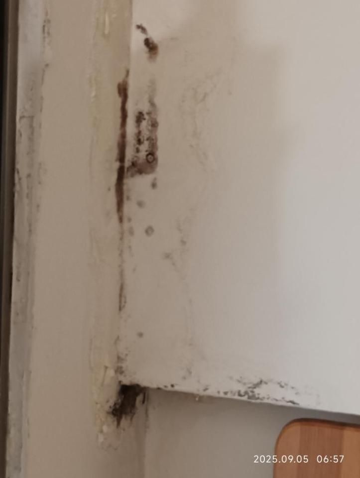 壁癌處理案件圖片 壁癌處理案件圖片