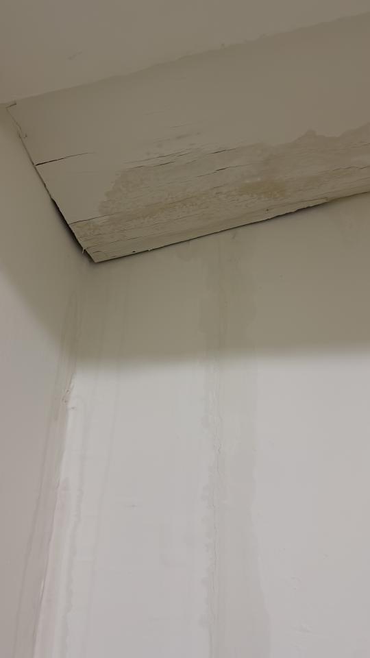 漏水處理案件圖片 漏水處理案件圖片