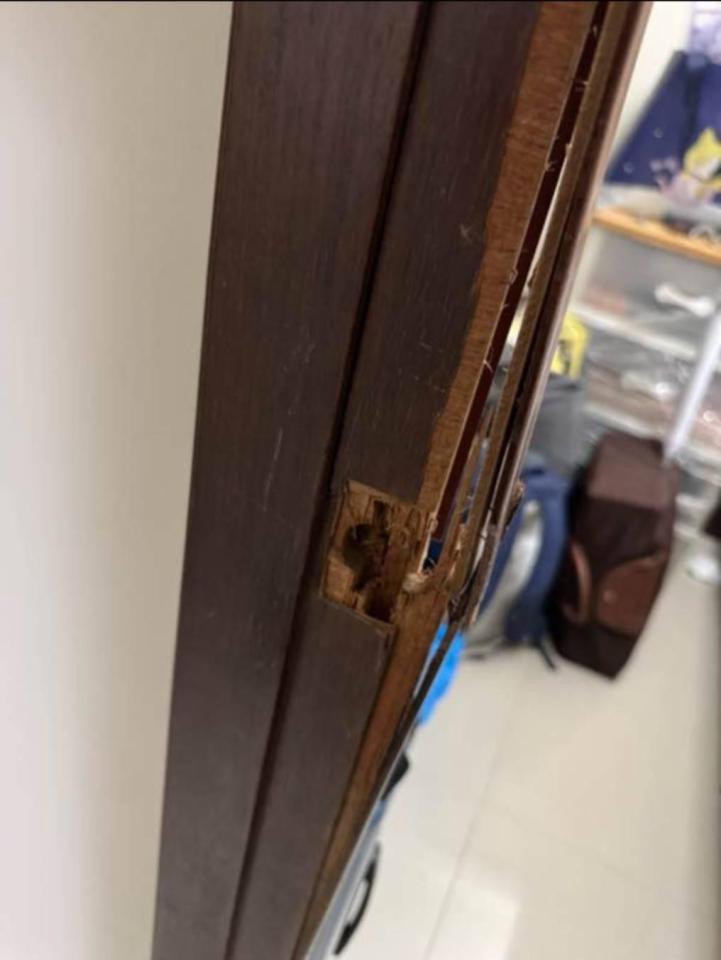 木工施工案件圖片 木工施工案件圖片