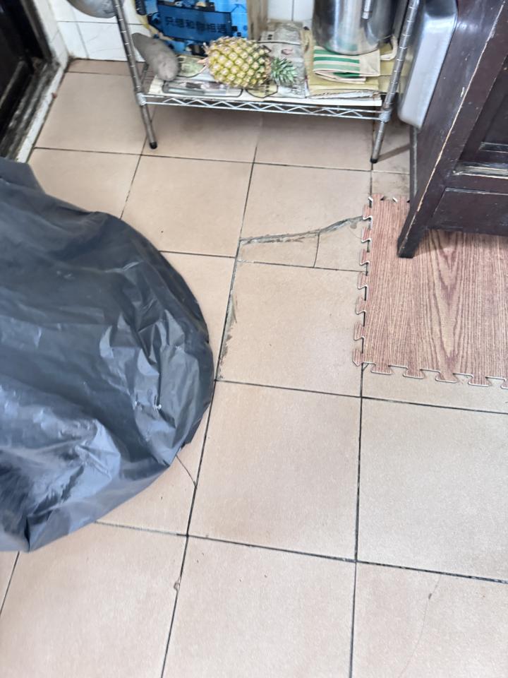 磁磚修補案件圖片 磁磚修補案件圖片