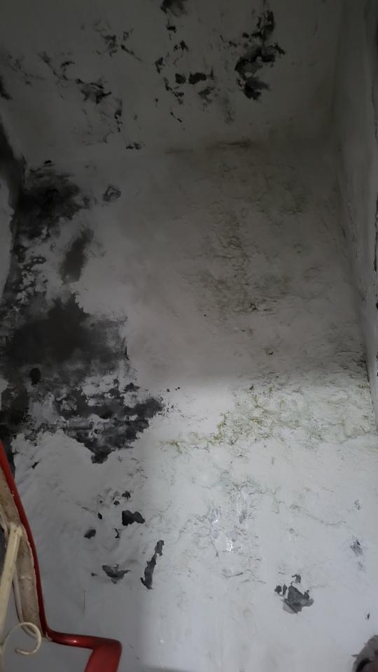 油漆工程案件圖片