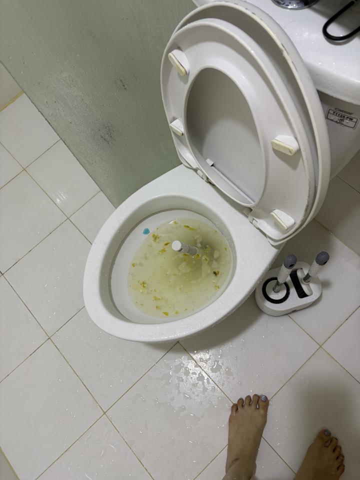 通馬桶案件圖片