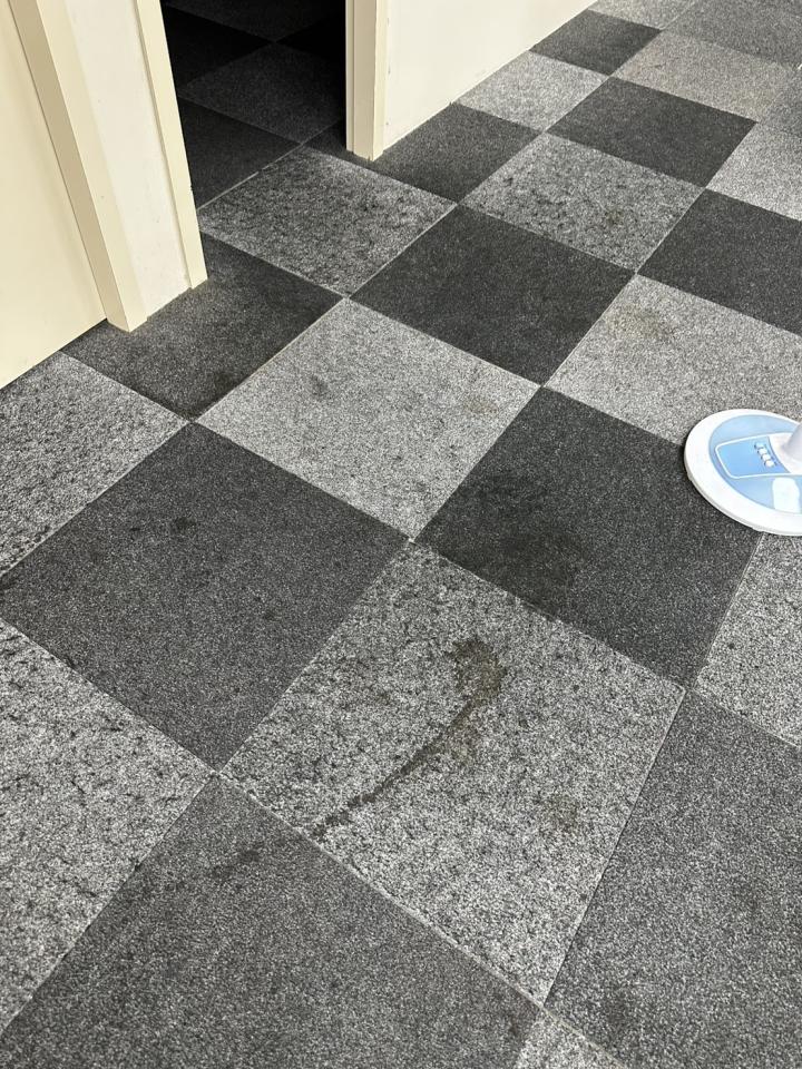 地毯訂製案件圖片