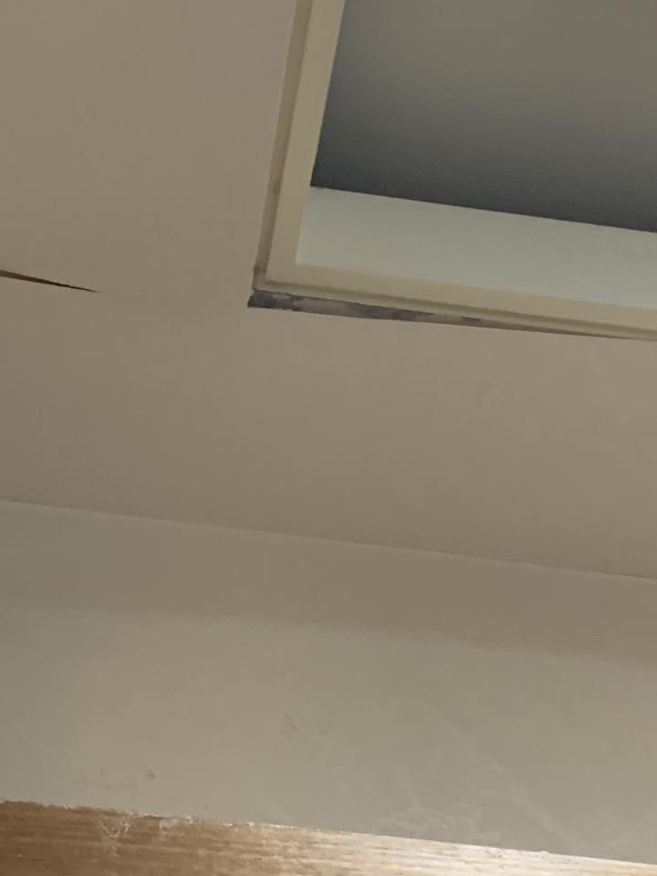 壁紙施工案件圖片