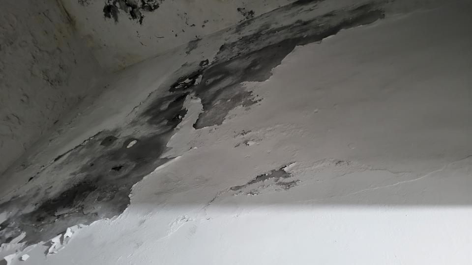 油漆工程案件圖片