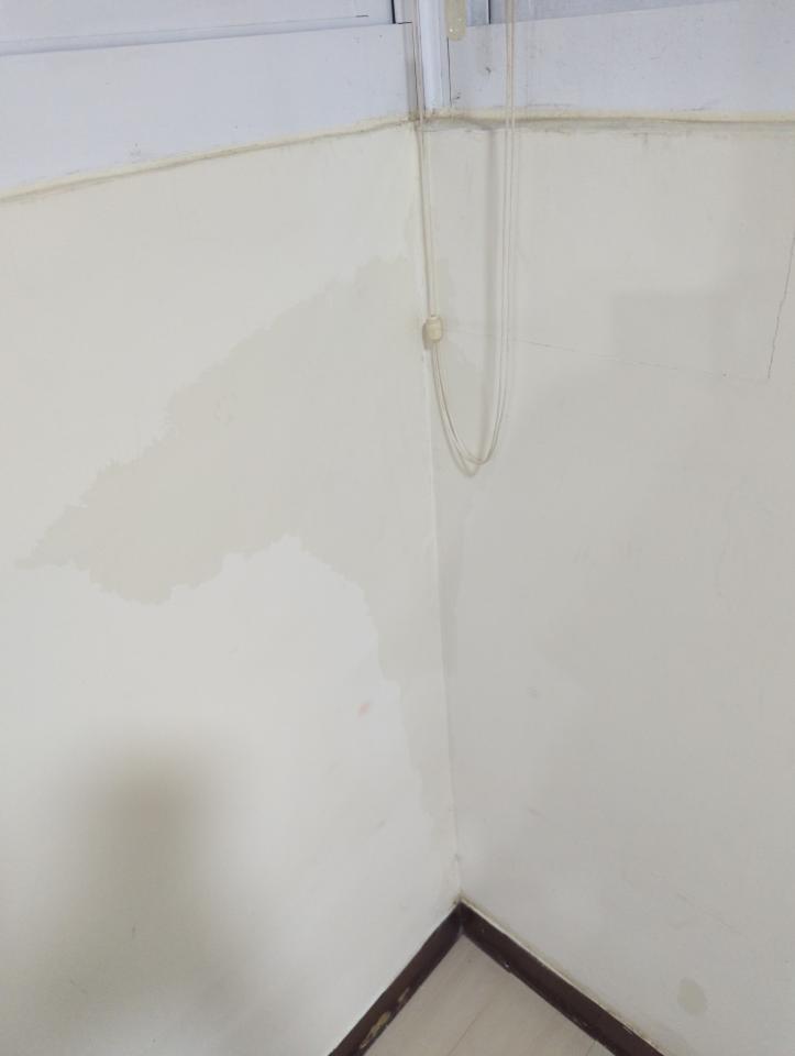 抓漏案件圖片 抓漏案件圖片