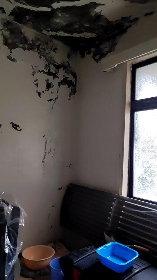 屋頂防水案件圖片 屋頂防水案件圖片