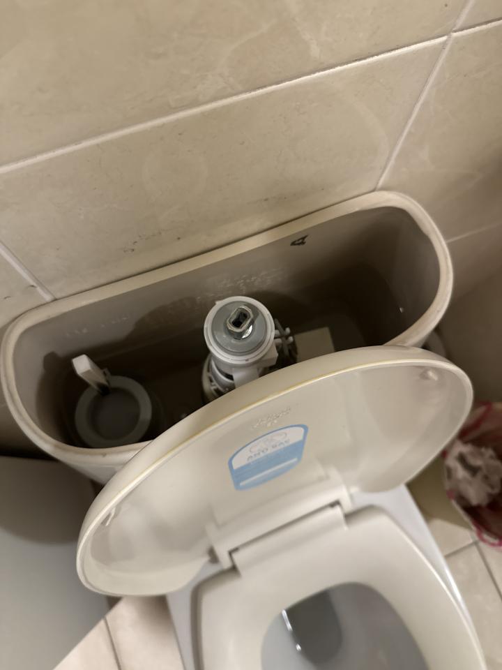 馬桶裝修案件圖片